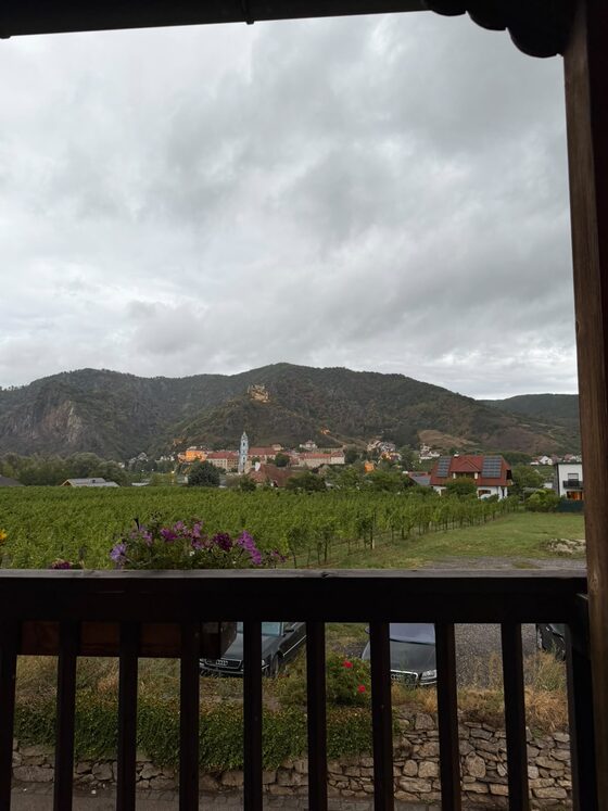 Blick aus der Holzveranda über Blumen und Weingarten auf Dürnstein mit Stiftskirche und Ruine, der Himmel bewölkt